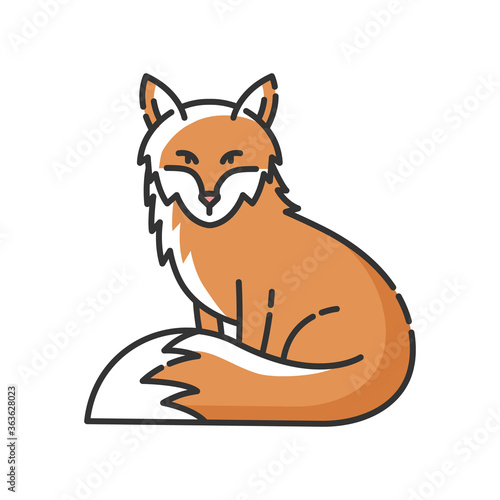 Fox RGB color icon. Cute animal with furry tail, common mammal, omnivore woodland creature. Forest wildlife, zoology. Adorable fox isolated vector illustration