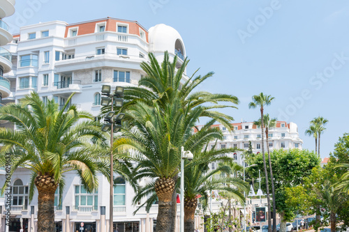 Palm trees on the Boulevard Croisette in Cannes © KVN1777
