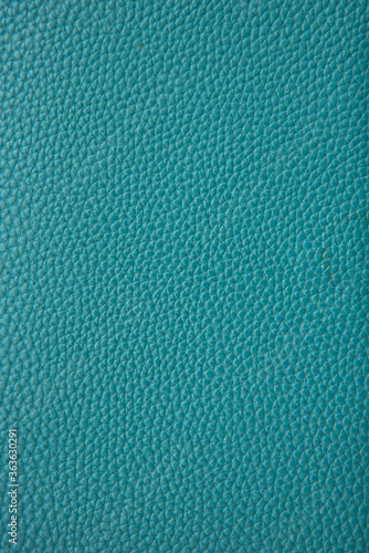 Green skin texture close-up. Background. Daily planner, furniture.