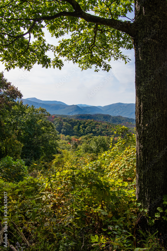 A clear and colorful afternoon view from a mountain top in The Great Smoky Mountains