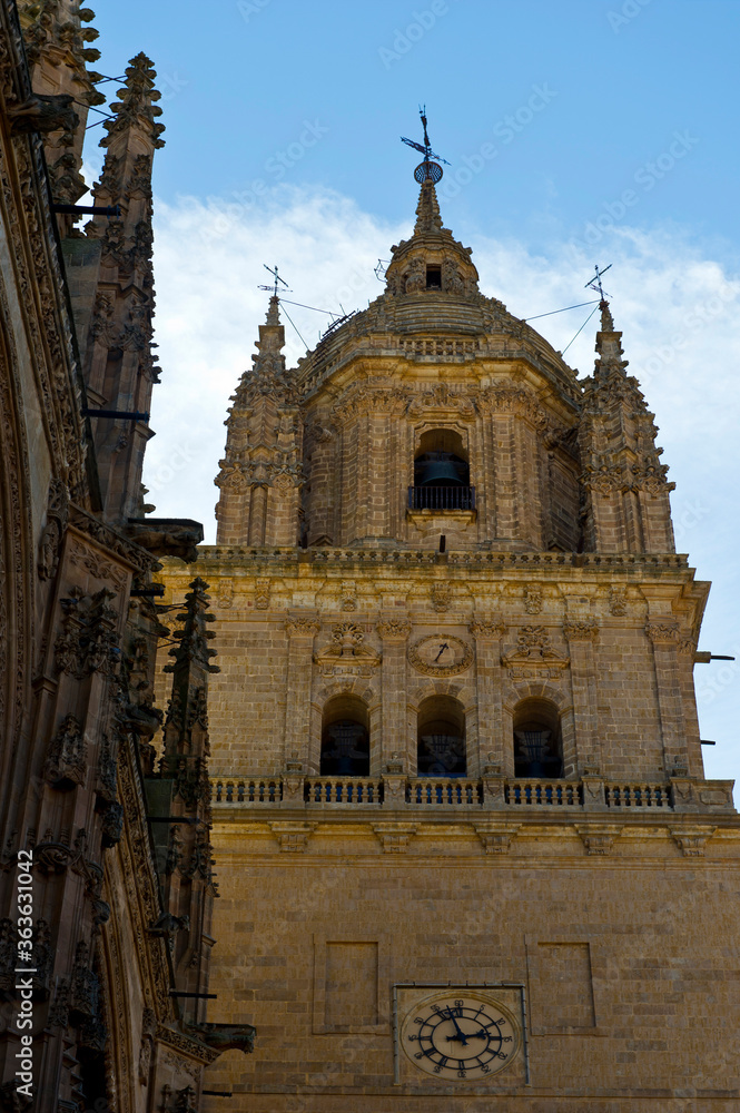 Salamanca Cathedral, Salamanca, Castile and León region, Spain