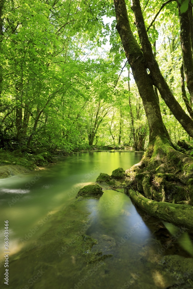 Φωτογραφία Sunny scenery of the Cascade de Tufs near Arbois, France
