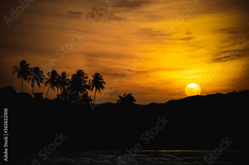 Sunset on the beach with silhouette of coconut trees and orange sky.
