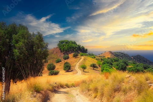 The wonderful hills on a summer day.