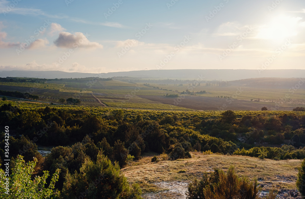 Naklejka premium Green mountain valley view. Summer nature landscape.