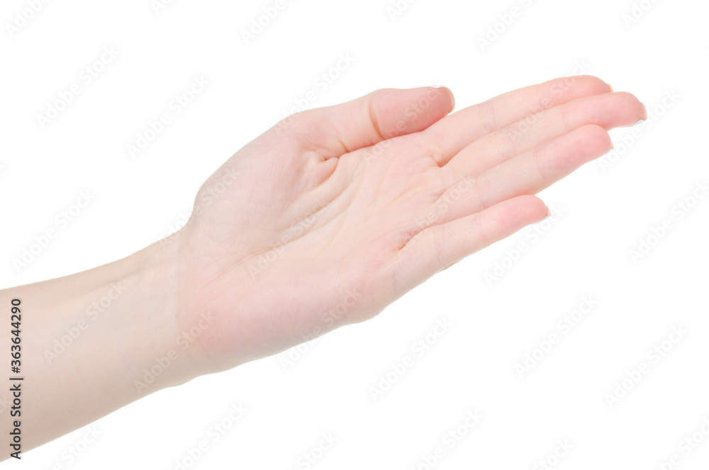 Woman hand showing pointing on white background isolation