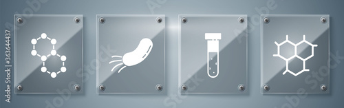 Set Chemical formula, Test tube and flask chemical, Bacteria and Molecule. Square glass panels. Vector.