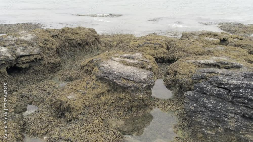Aerial view above rocky seaweed seafront coast rock pool landscape Aerial view above rocky seaweed seafront coast rock pool landscape