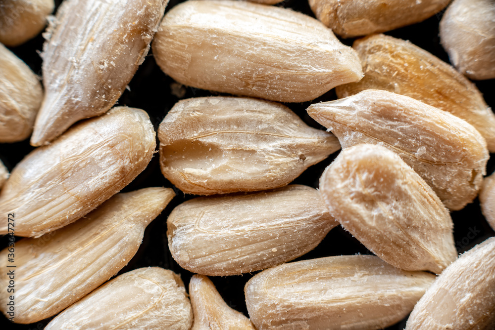 Obraz premium Fullscreen macro closeup with shallow depth of field of sunflower seeds on a black background. Texture. Graphic design.