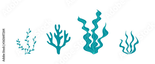 Seaweed collection isolated on white background. Underwater plants silhouettes. Vector illustration.
