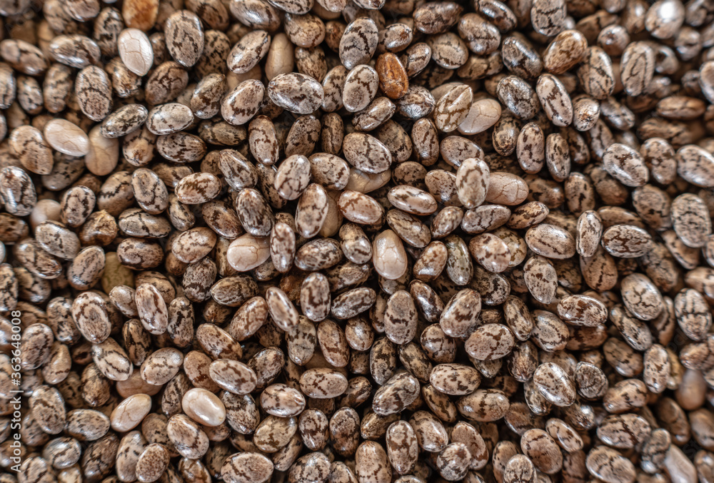Fullscreen macro closeup with shallow depth of field of chia seeds. Texture. Graphic design. Fullscreen macro closeup with shallow depth of field of chia seeds. Texture. Graphic design.