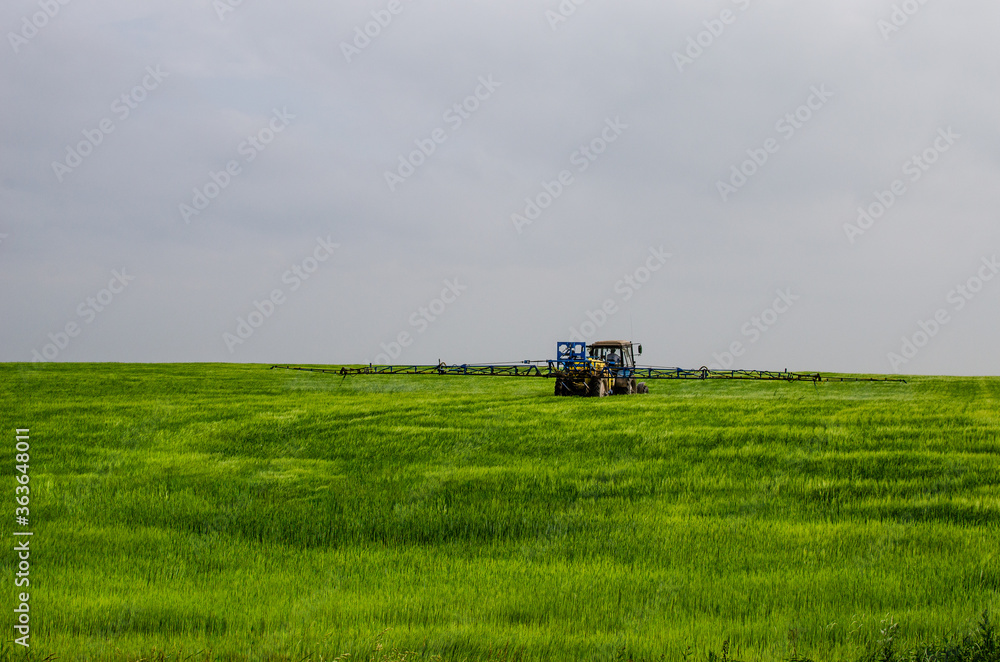 Green agricultural field with cereals, which are processed by a tractor Green agricultural field with cereals, which are processed by a tractor