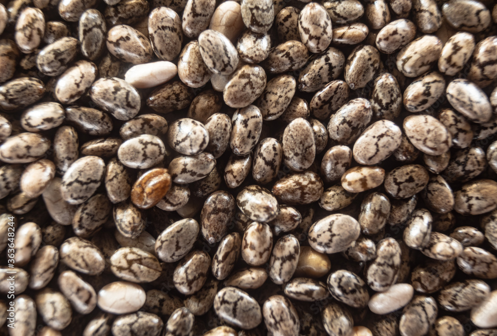 Fullscreen macro closeup with shallow depth of field of chia seeds. Texture. Graphic design. Fullscreen macro closeup with shallow depth of field of chia seeds. Texture. Graphic design.
