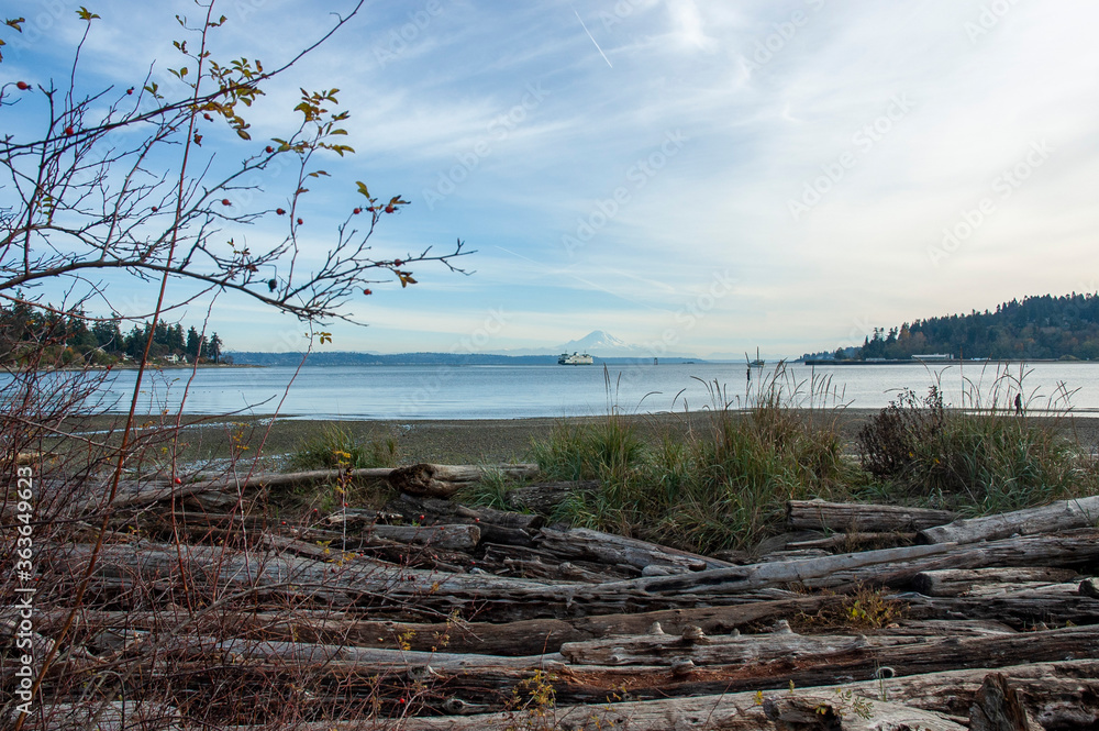 View of Mount Rainier, Puget Sound, and ferry from driftwood beach in Hawley Cove, Bainbridge Island
