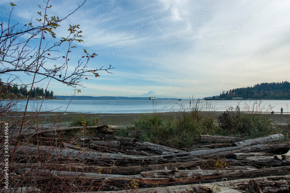 View of Mount Rainier, Puget Sound, and ferry from driftwood beach in Hawley Cove, Bainbridge Island