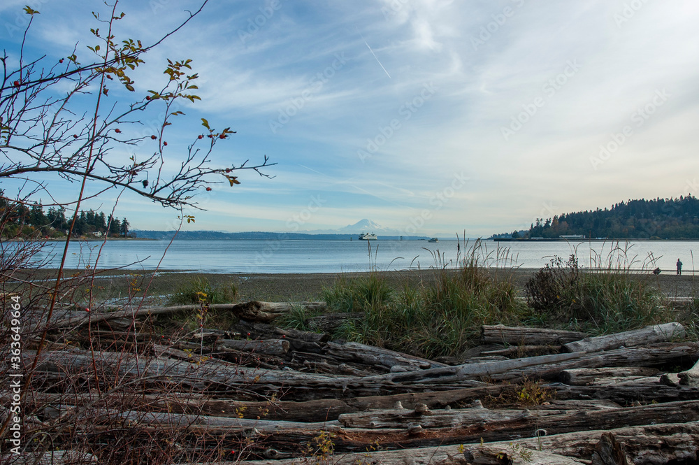 View of Mount Rainier, Puget Sound, and ferry from driftwood beach in Hawley Cove, Bainbridge Island View of Mount Rainier, Puget Sound, and ferry from driftwood beach in Hawley Cove, Bainbridge Island