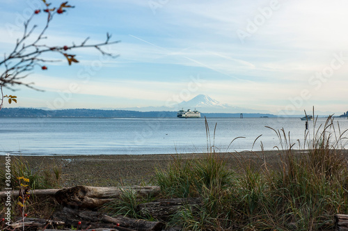 View of Mount Rainier, Puget Sound, and ferry from driftwood beach in Hawley Cove, Bainbridge Island
