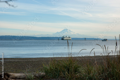 View of Mount Rainier and ferry across Puget Sound,  from driftwood beach in Hawley Cove, Bainbridge Island, Kitsap County