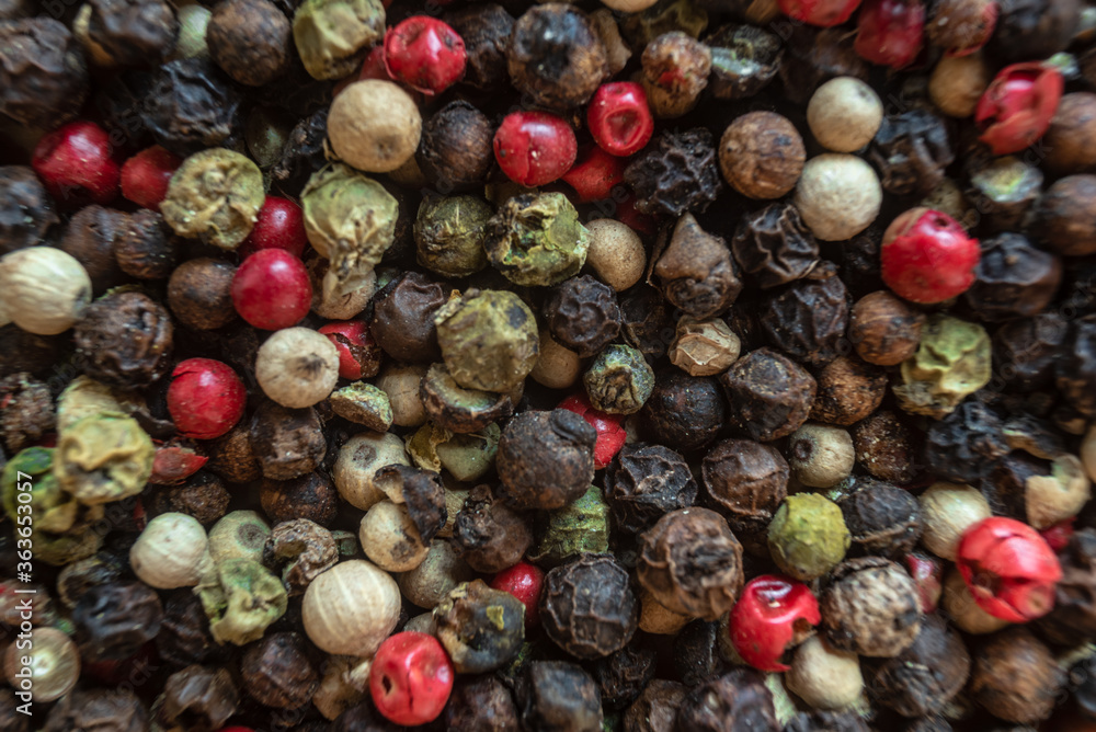 Fullscreen macro closeup with shallow depth of field of unmilled red, green, white and black peppercorns Fullscreen macro closeup with shallow depth of field of unmilled red, green, white and black peppercorns