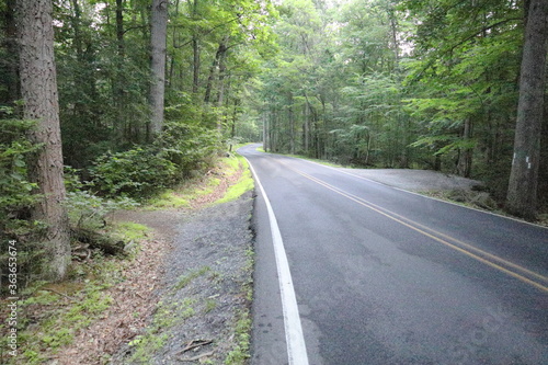 A road off the trail of chimney rock