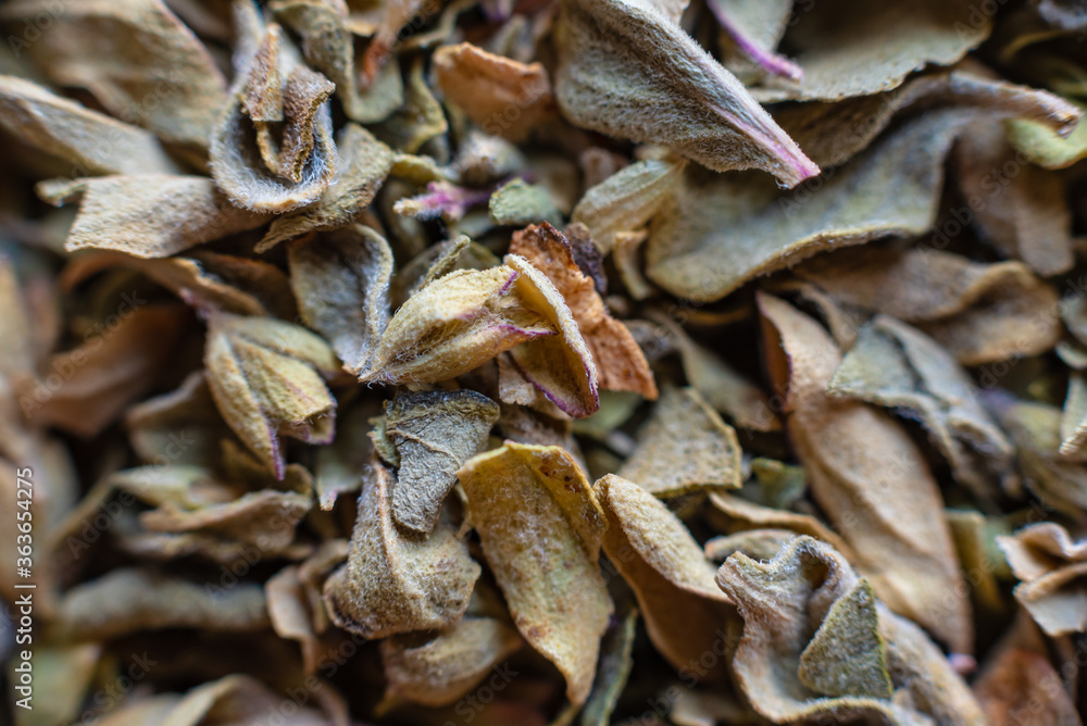 Fullscreen macro closeup of dried oregano. Food seasoning. Texture. Graphic design.