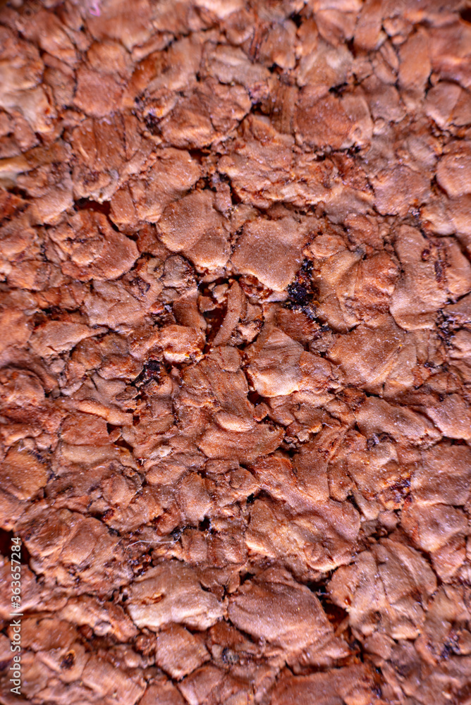 Macro of a cork texture for graphic design