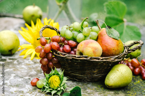 Organic fruit in basket. Fresh grapes  pears and apples in nature