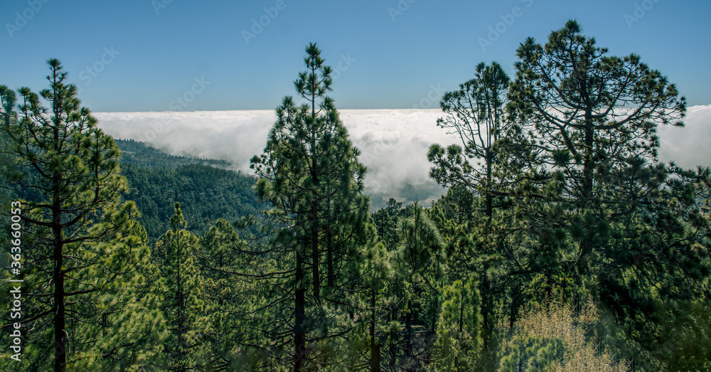 Sea of clouds in El Teide National Park, Tenerife. Canary Islands. Spain. Sea of clouds in El Teide National Park, Tenerife. Canary Islands. Spain.