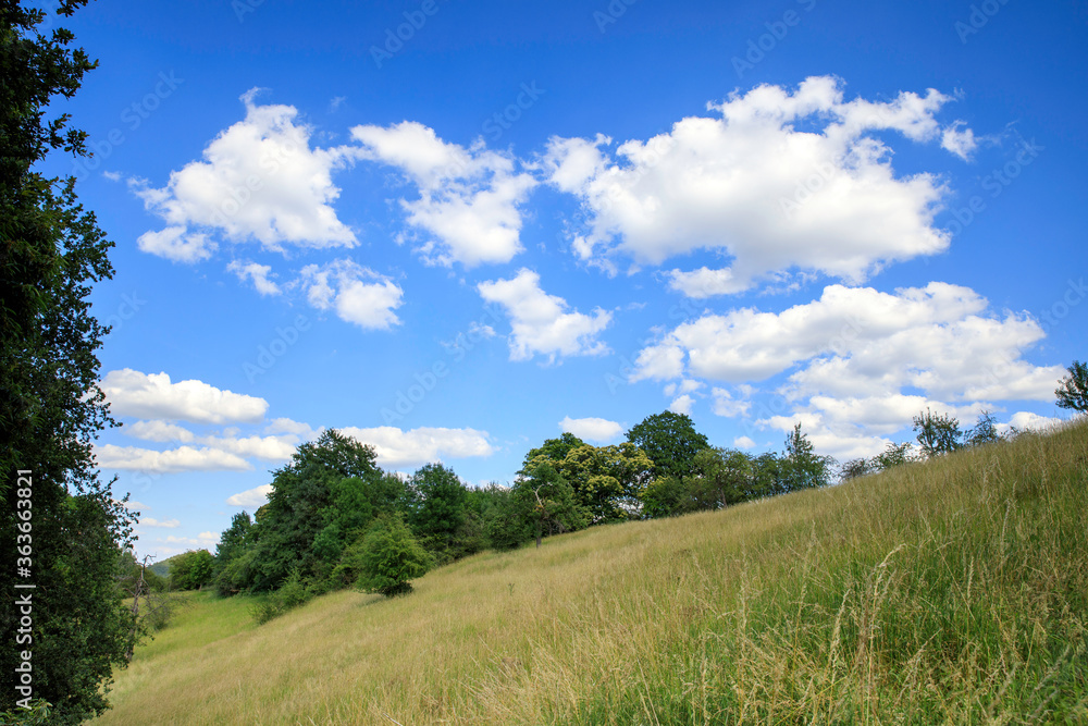 Obraz premium A pied dans les collines