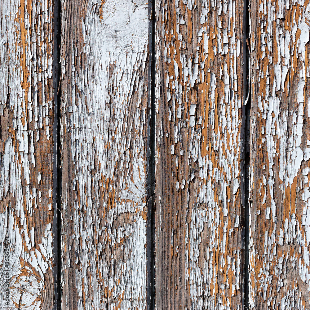 Fototapeta premium The white wood texture with natural patterns background
