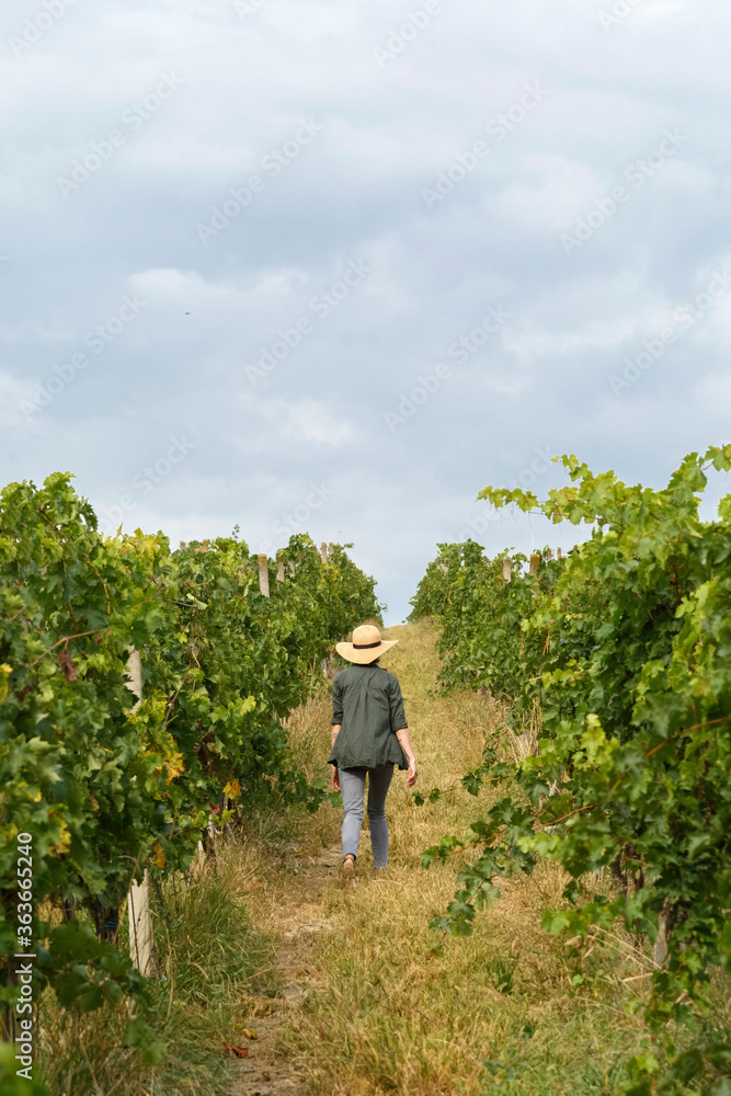 Woman in hat walking along green vineyard Woman in hat walking along green vineyard