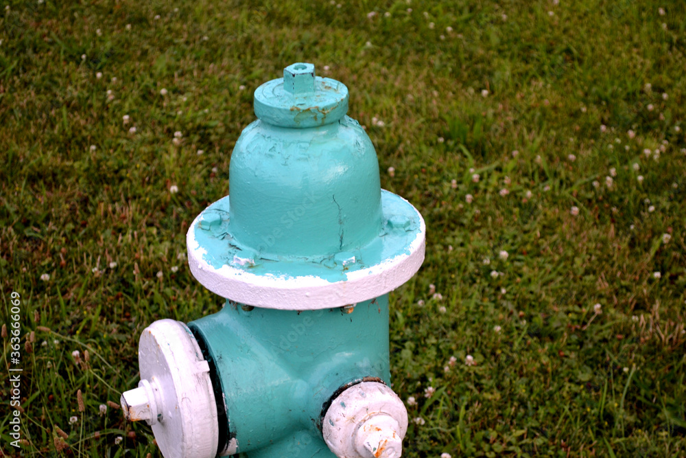 A Blue and White Fire Hydrant Closeup View 