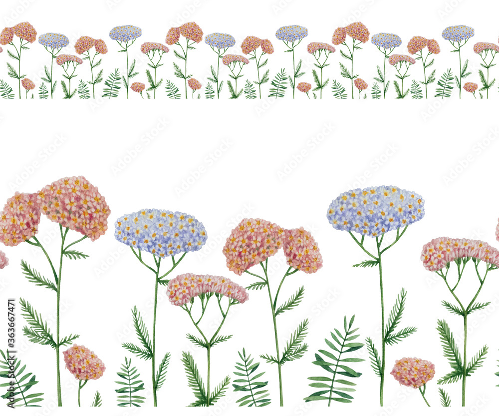 Naklejka premium Meadow flowers in watercolor