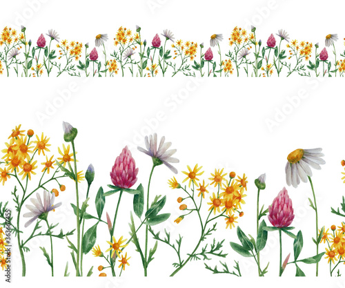 Meadow flowers in watercolor