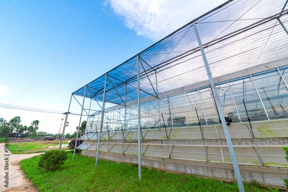 The greenhouse of modern agriculture is under the blue sky and white clouds. The greenhouse of modern agriculture is under the blue sky and white clouds.