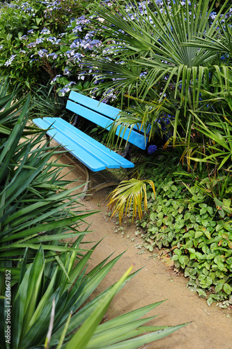 Blue bench in a park photo