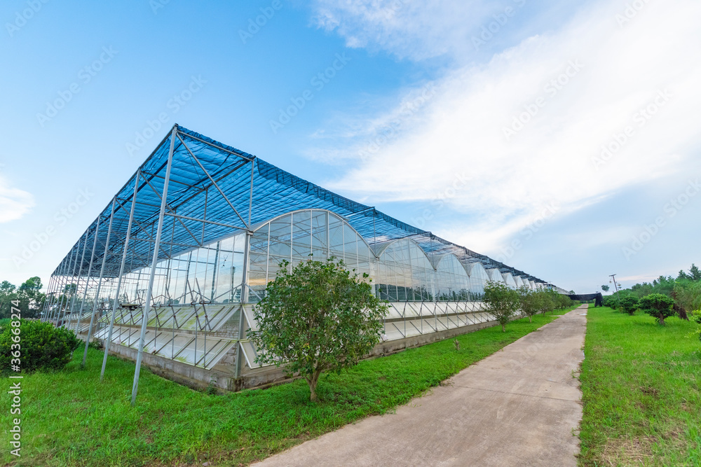 The greenhouse of modern agriculture is under the blue sky and white clouds. The greenhouse of modern agriculture is under the blue sky and white clouds.