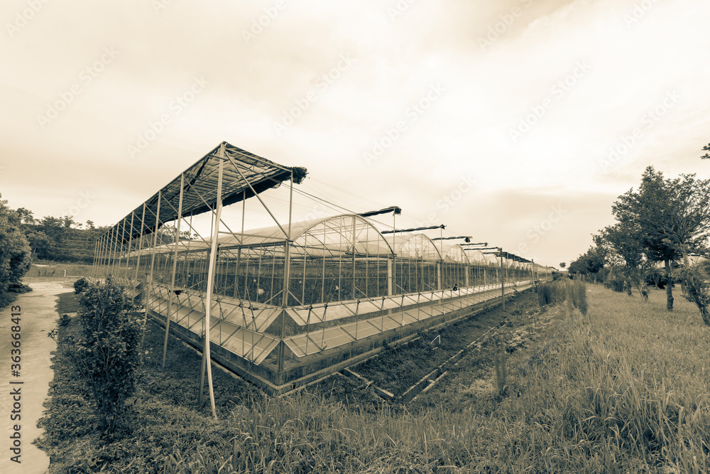 The greenhouse of modern agriculture is under the blue sky and white clouds. The greenhouse of modern agriculture is under the blue sky and white clouds.