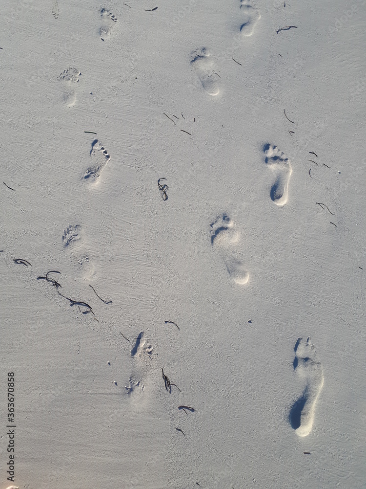 footprints on the beach