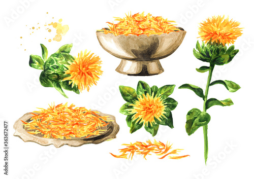 Canvas-taulu Safflower's flower and petals set
