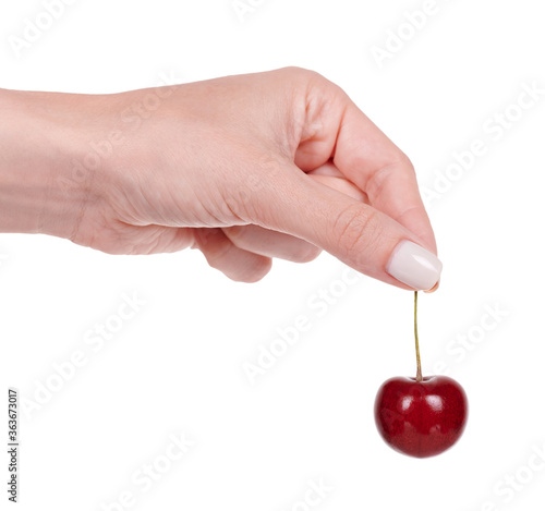 Hand with red ripe cherry with stem. Isolated on white background.