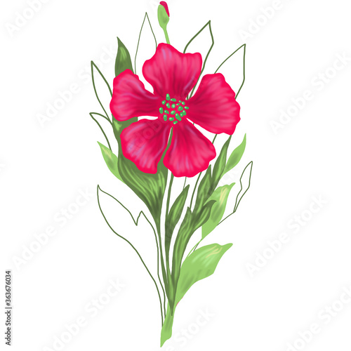Floral illustration with red poppies on a white background.