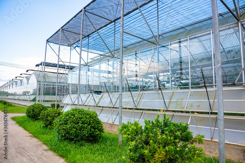 The greenhouse of modern agriculture is under the blue sky and white clouds.