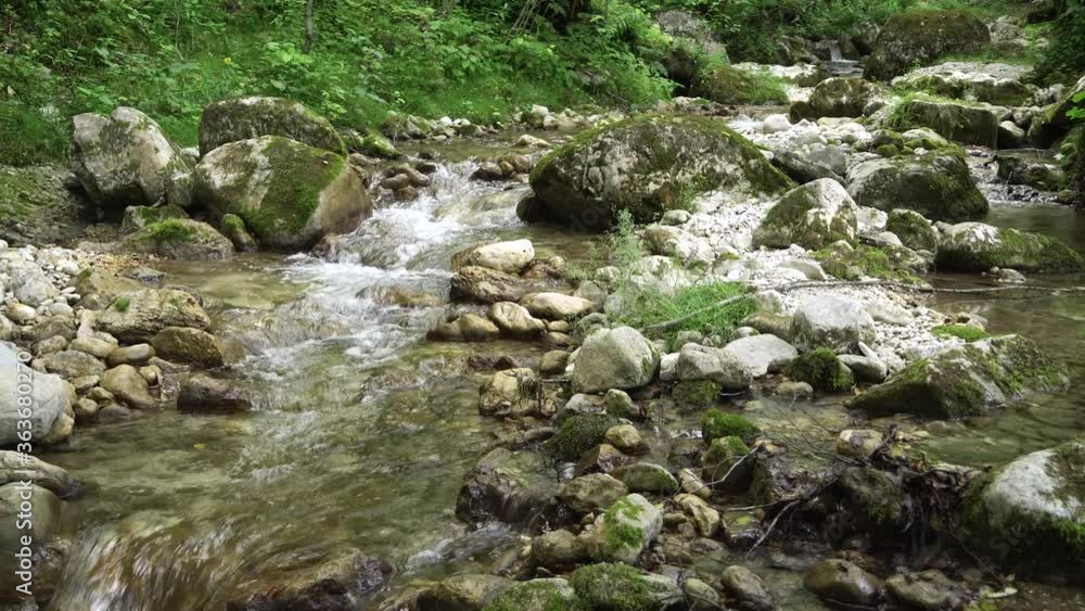 Mountain River close up abundant clear stream. Detail static B-roll footage of creek with stone boulders flowing. Mountain River close up abundant clear stream. Detail static B-roll footage of creek with stone boulders flowing.