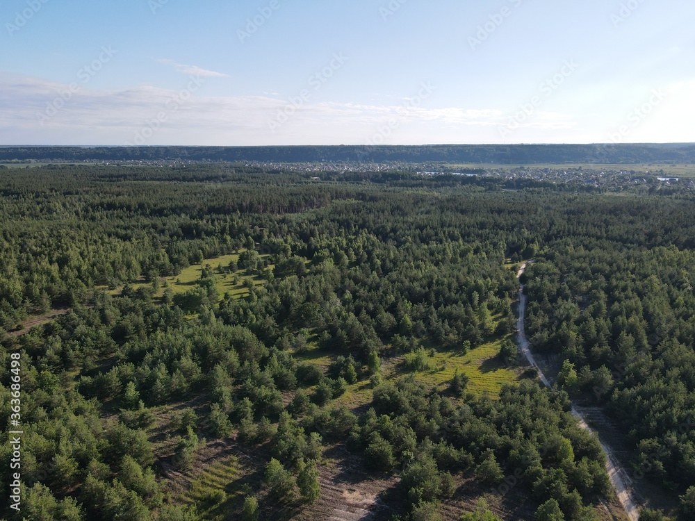 Aerial view of a forest path