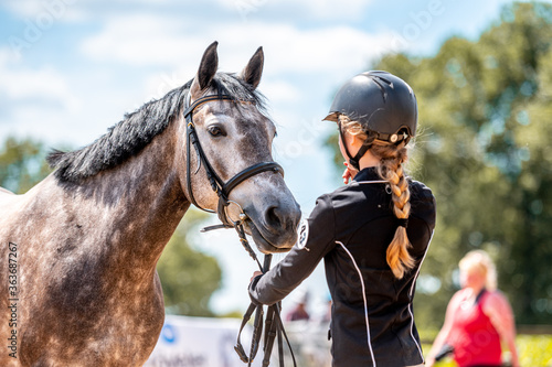 Horse show in hand, portrait of beautiful healthy horse. © Eliška