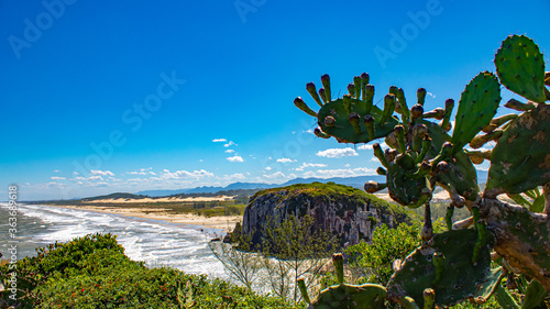 Costão rochoso e a vegetação da Praia de Torres photo