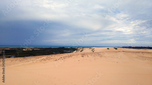 beach and sea