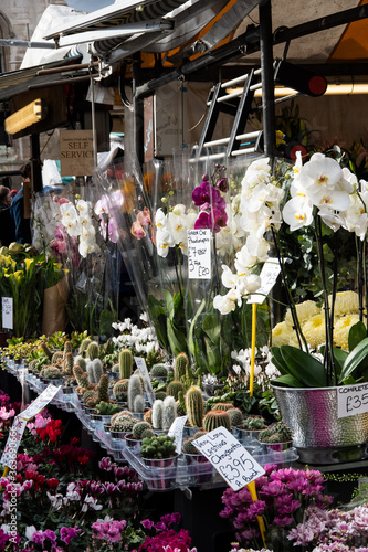 a flower shop at the market