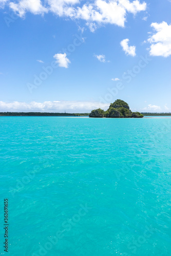 Beautiful seascape of Upi Bay, Pines Island, new caledonia: turquoise lagoon, lush vegetation, blue sky. Portrait format